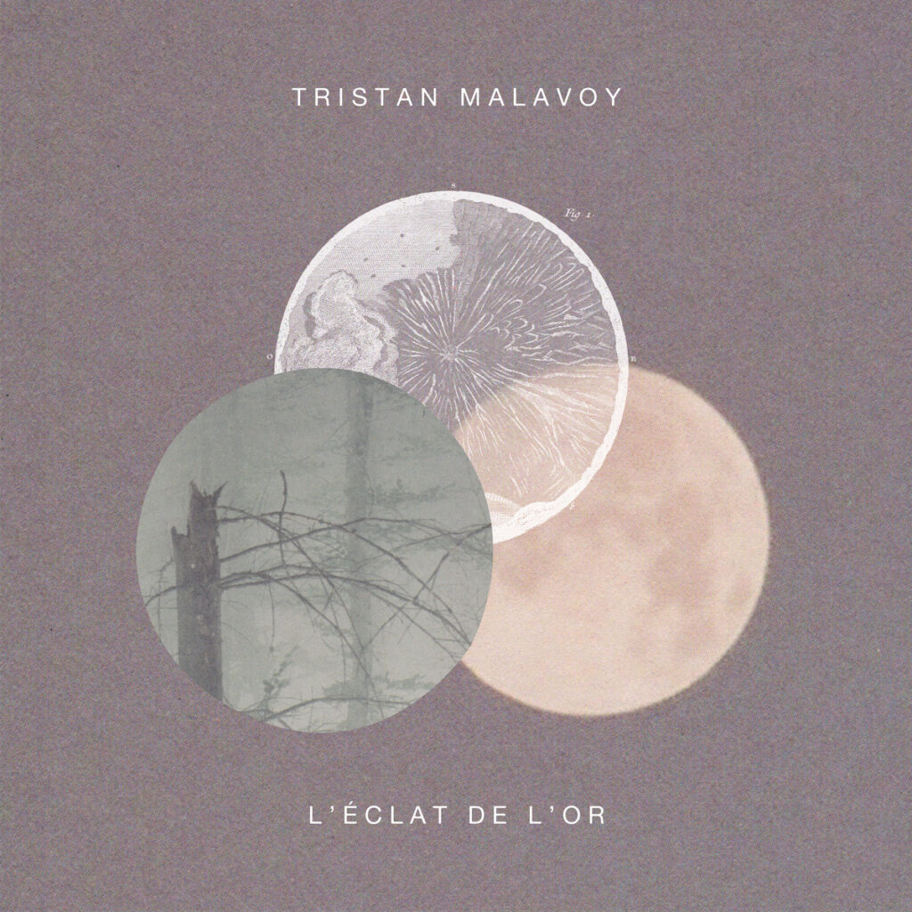 Tristan Malavoy_L'eclat de l'Or